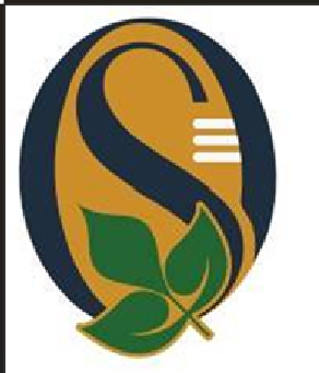 OMKAR SWAROOP INDUSTRIES