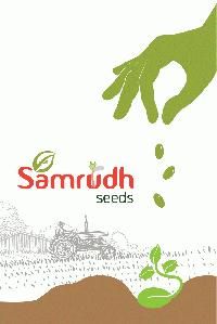 SAMRUDH SEEDS (INDIA)