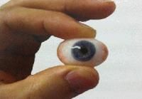 Custom Made Artificial Eye at Best Price in Mira Bhayandar