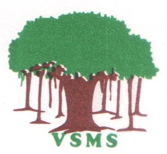 V. S. MARINE SERVICES