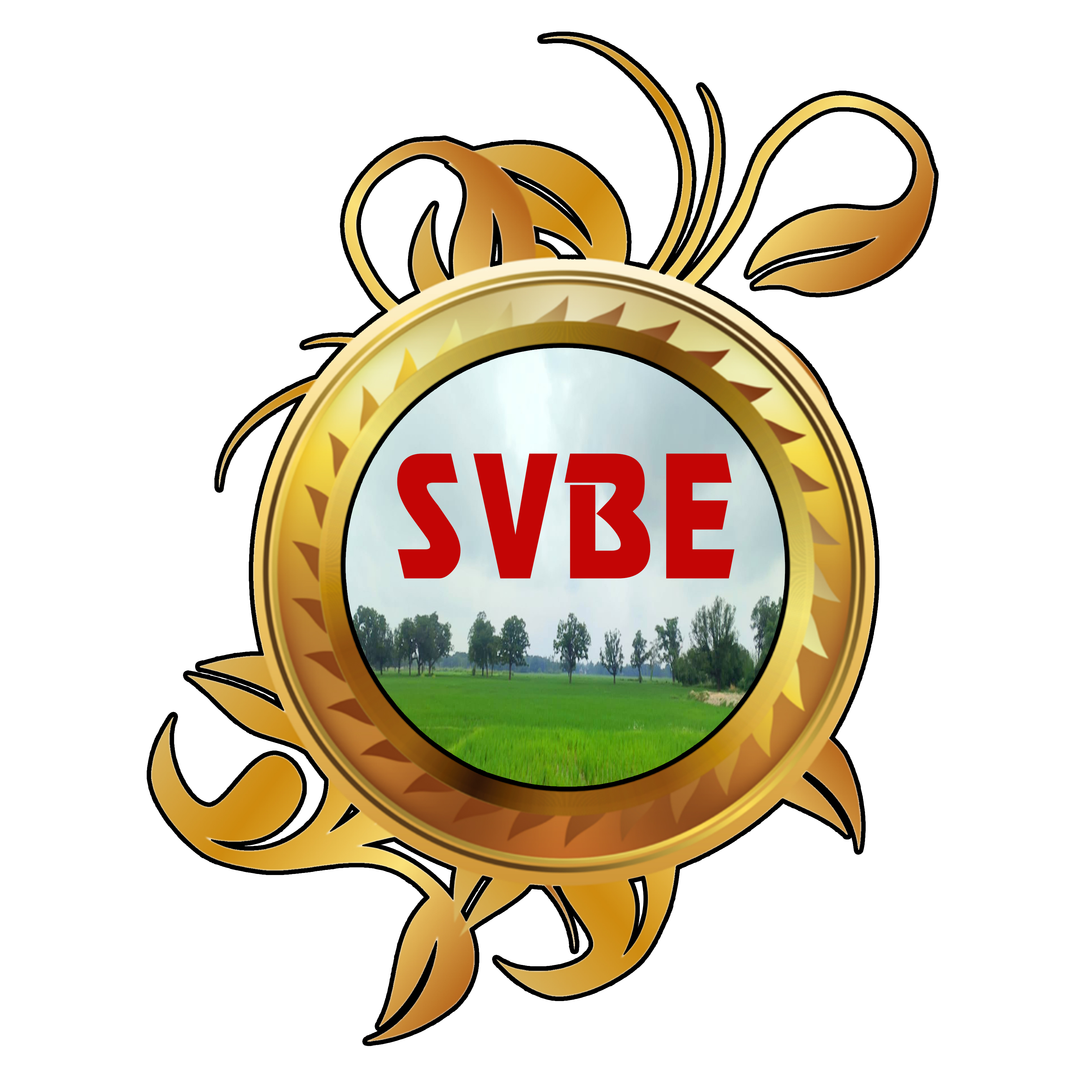 Sri Veera Bhadra Electronics