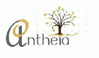 Antheia Solutions Pvt Ltd