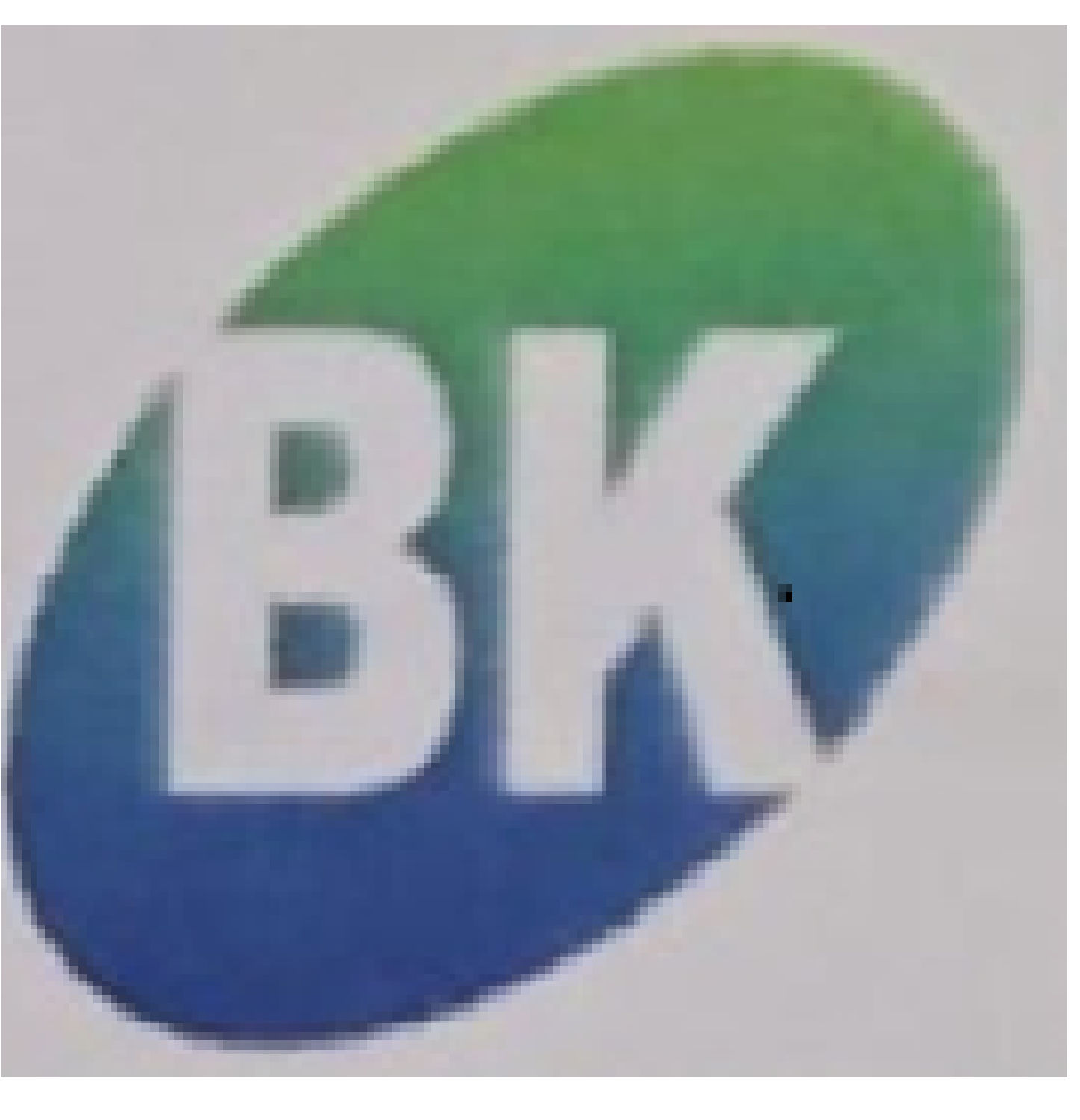 BK SYSTEMS