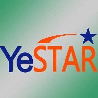 Yestar Tech Group Limited