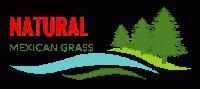 Natural Mexican Grass Supplier