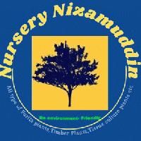 Nursery Nizamuddin