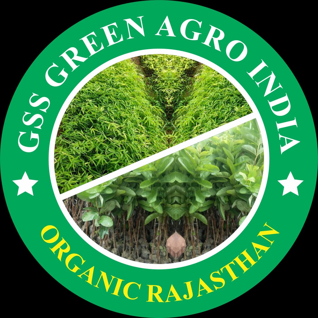 Gss Green Agro India
