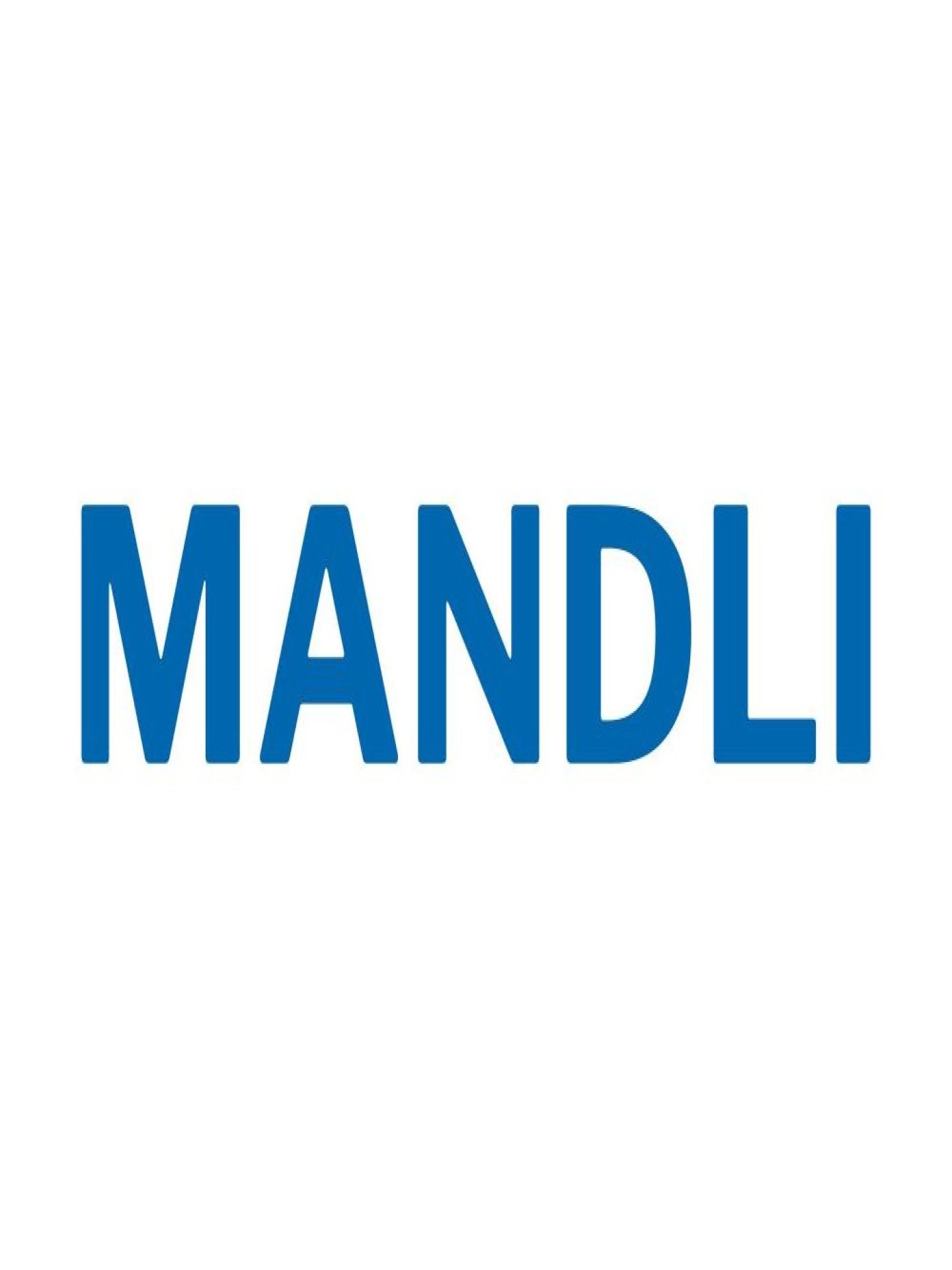 Mandlis Informatics
