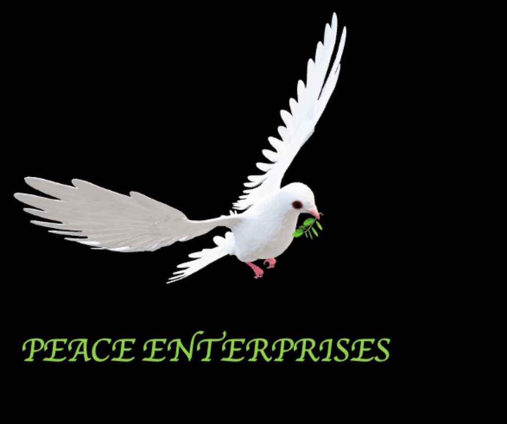 PEACE ENTERPRISES