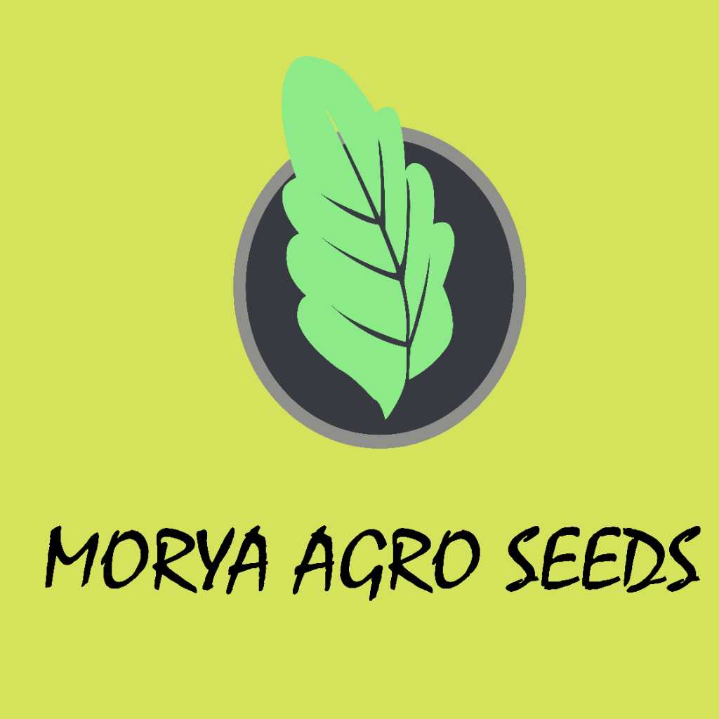 MORYA AGRO SEEDS