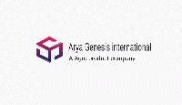 ARYA GENESIS INTERNATIONAL