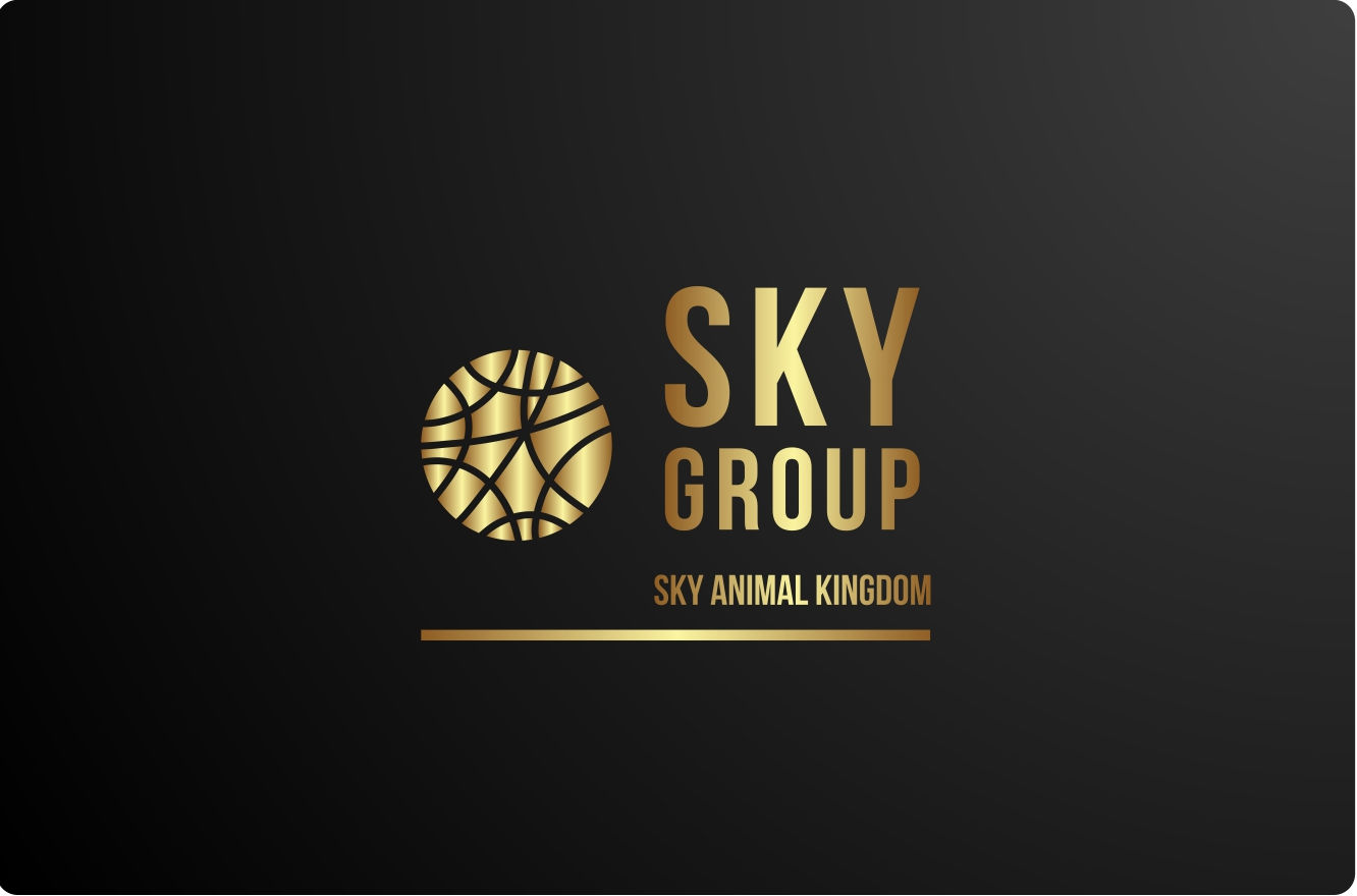 SKY INTERNATIONAL PLC