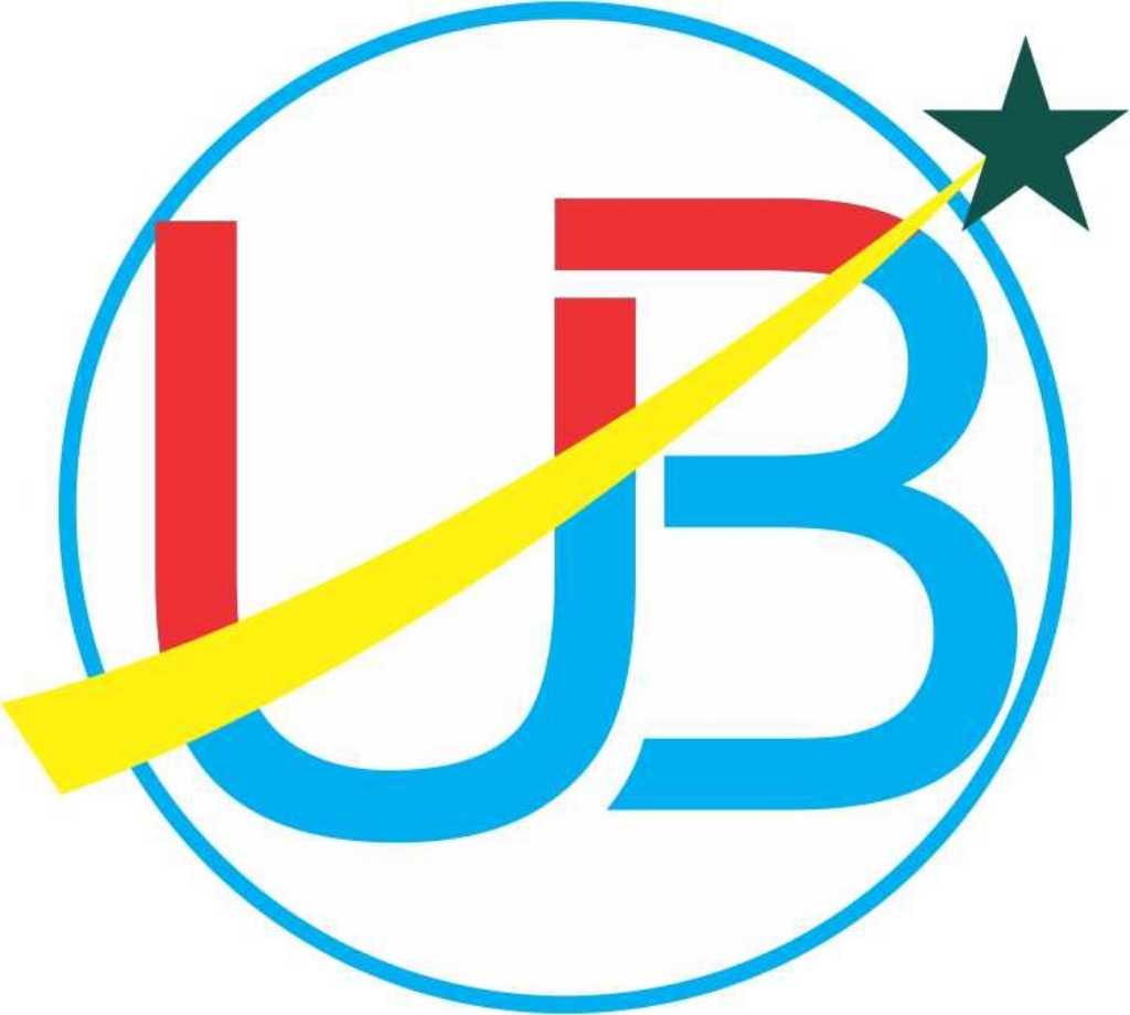 Ub Chemicals