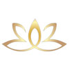 DYNASTY HOLIDAYS PVT LTD