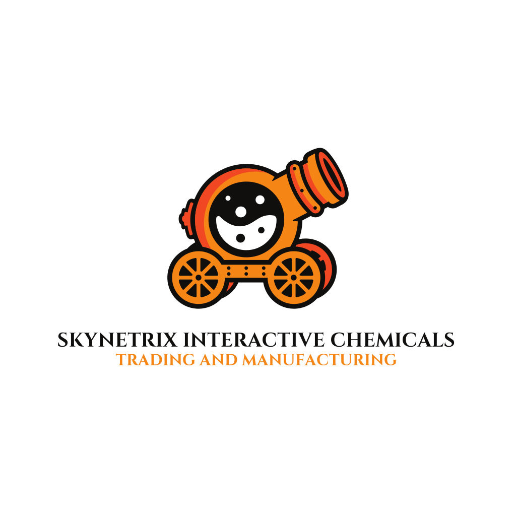 SKYNETRIX INTERACTIVE PVT LTD