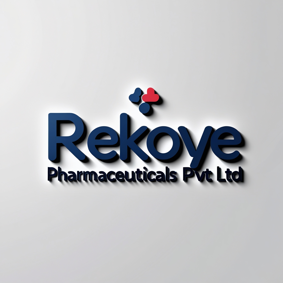 Rekoye Pharmaceuticals Pvt Ltd