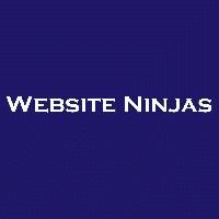 Website Ninjas - Website Designer in Chandigarh