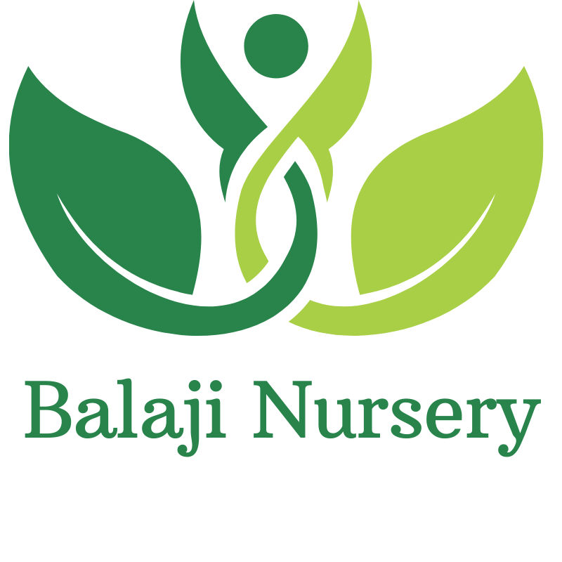 Balaji Nursery