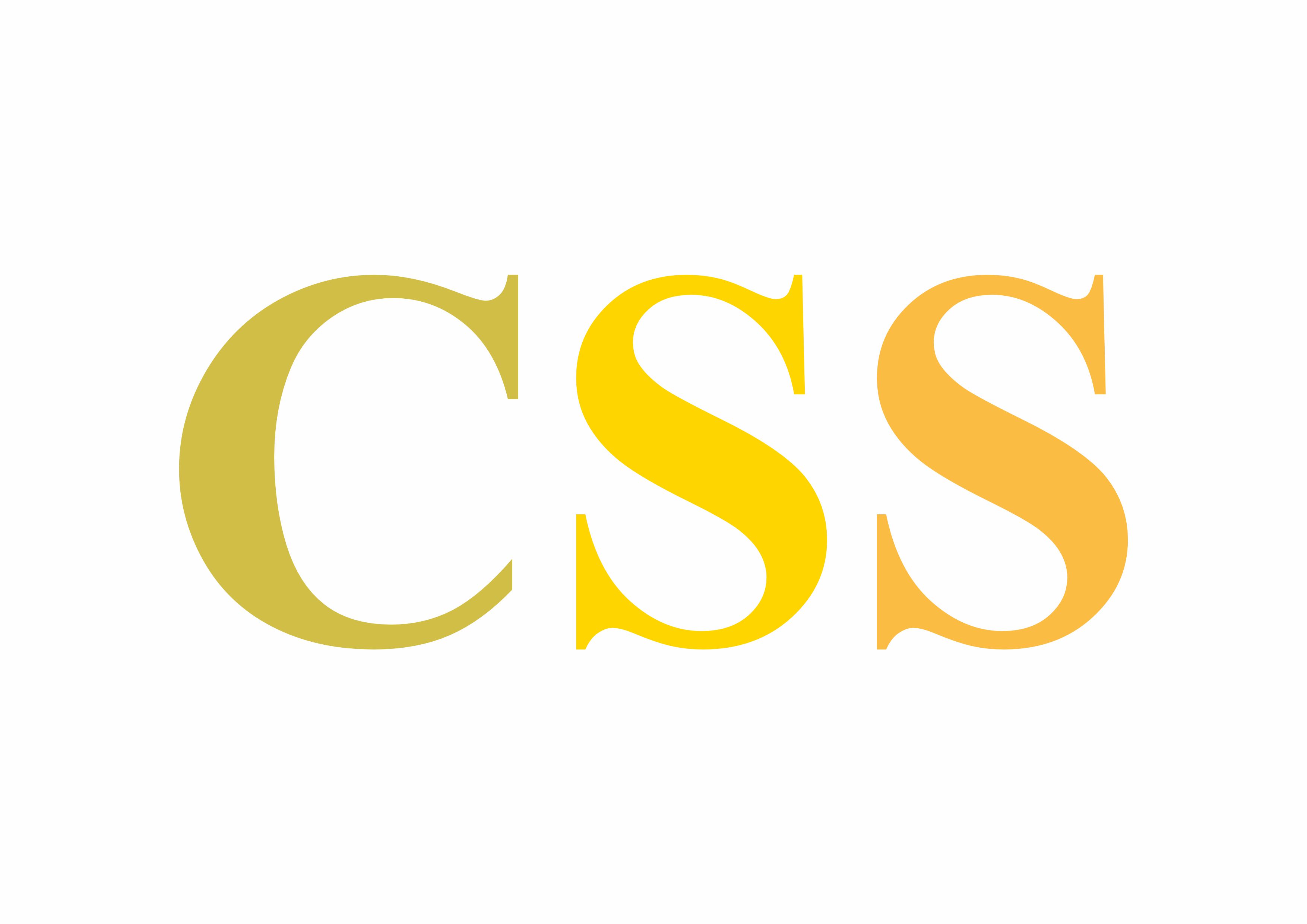 CSS Digital Solution