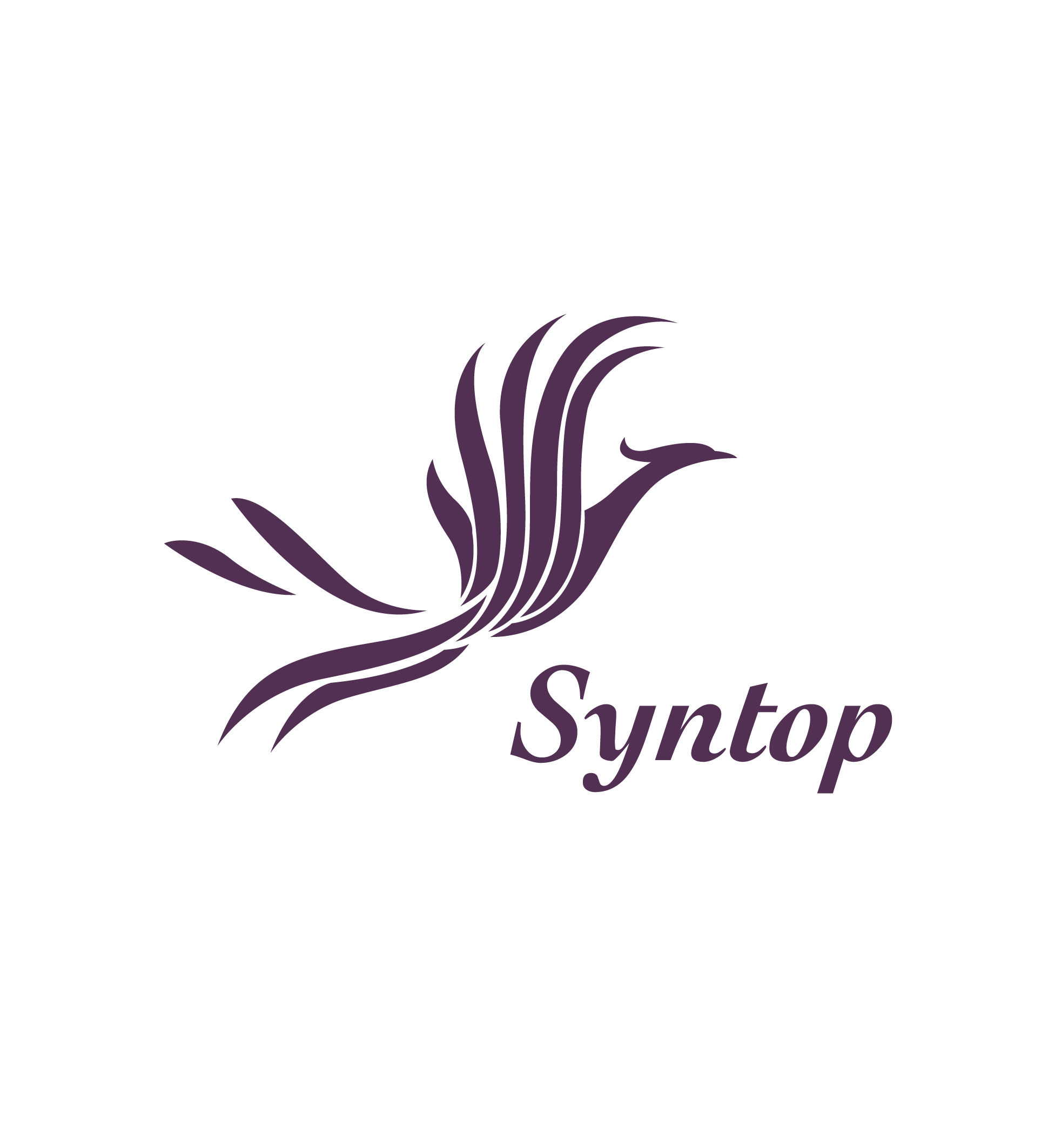 Syntop Chemical Co.,Ltd.