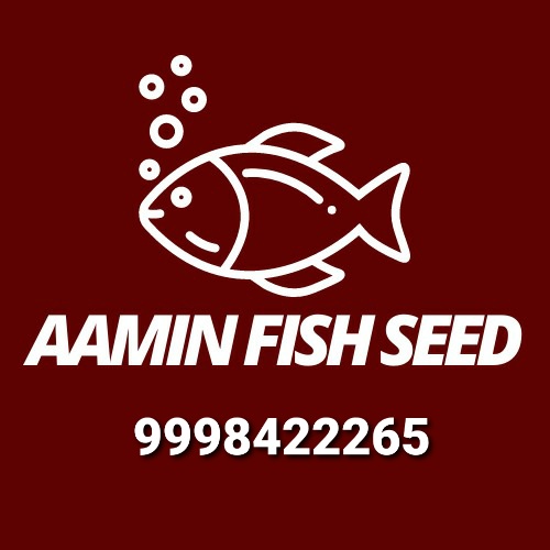 Aamin Fish Seed