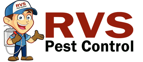 Rvs Pest Control Service