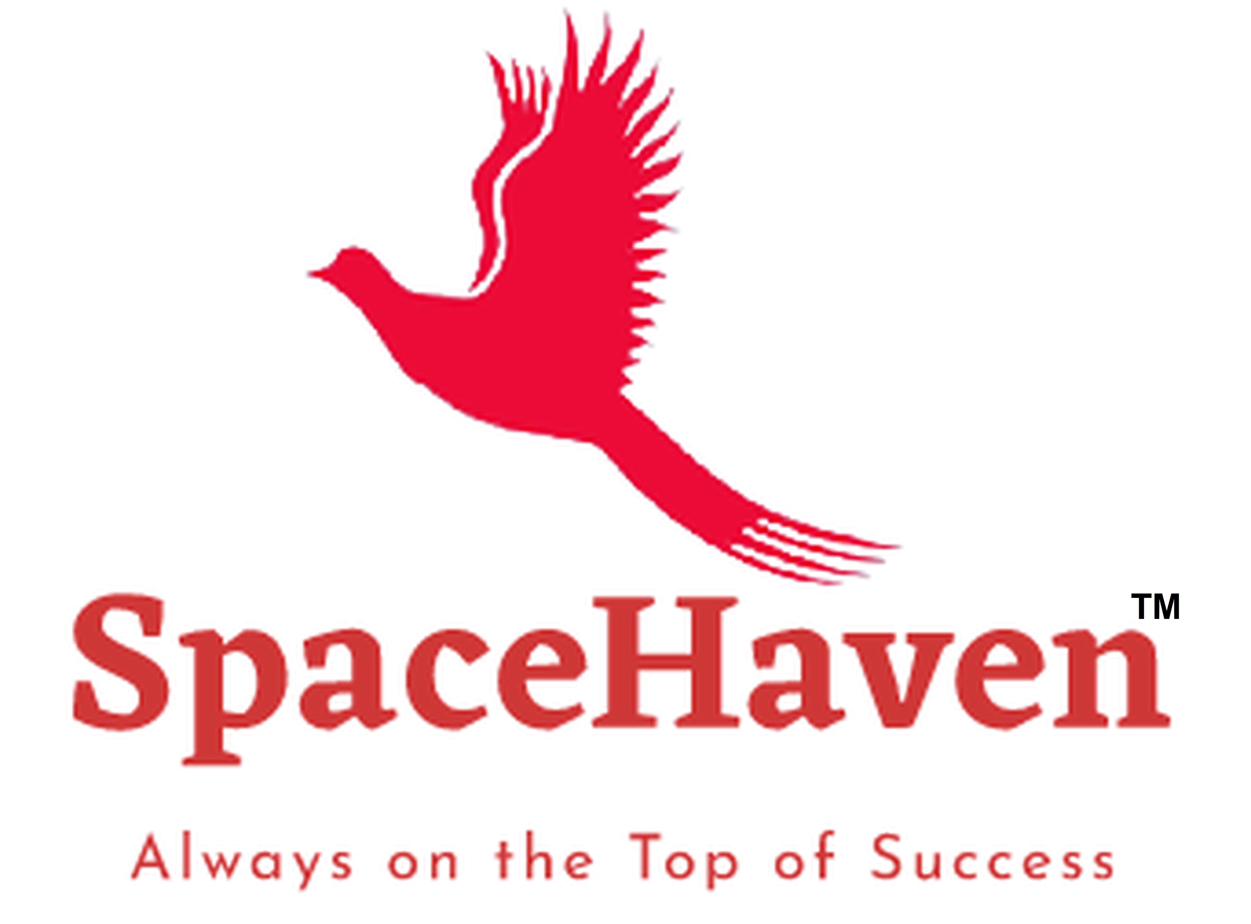 Space Haven