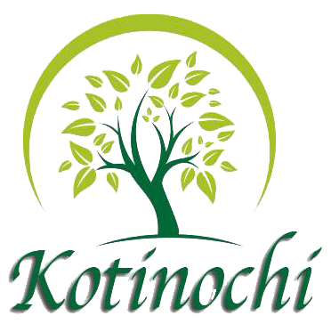 Kotinochi Jsc