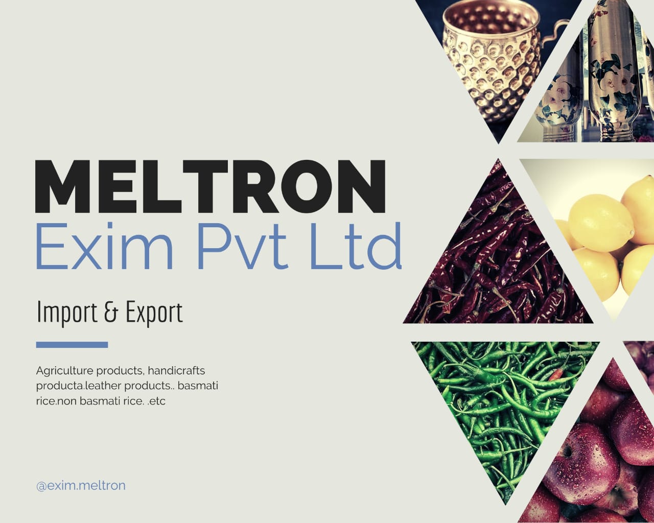 Meltron Exim Pvt Ltd