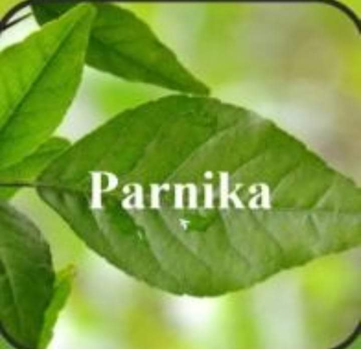 PARNIKA ENTERPRISES