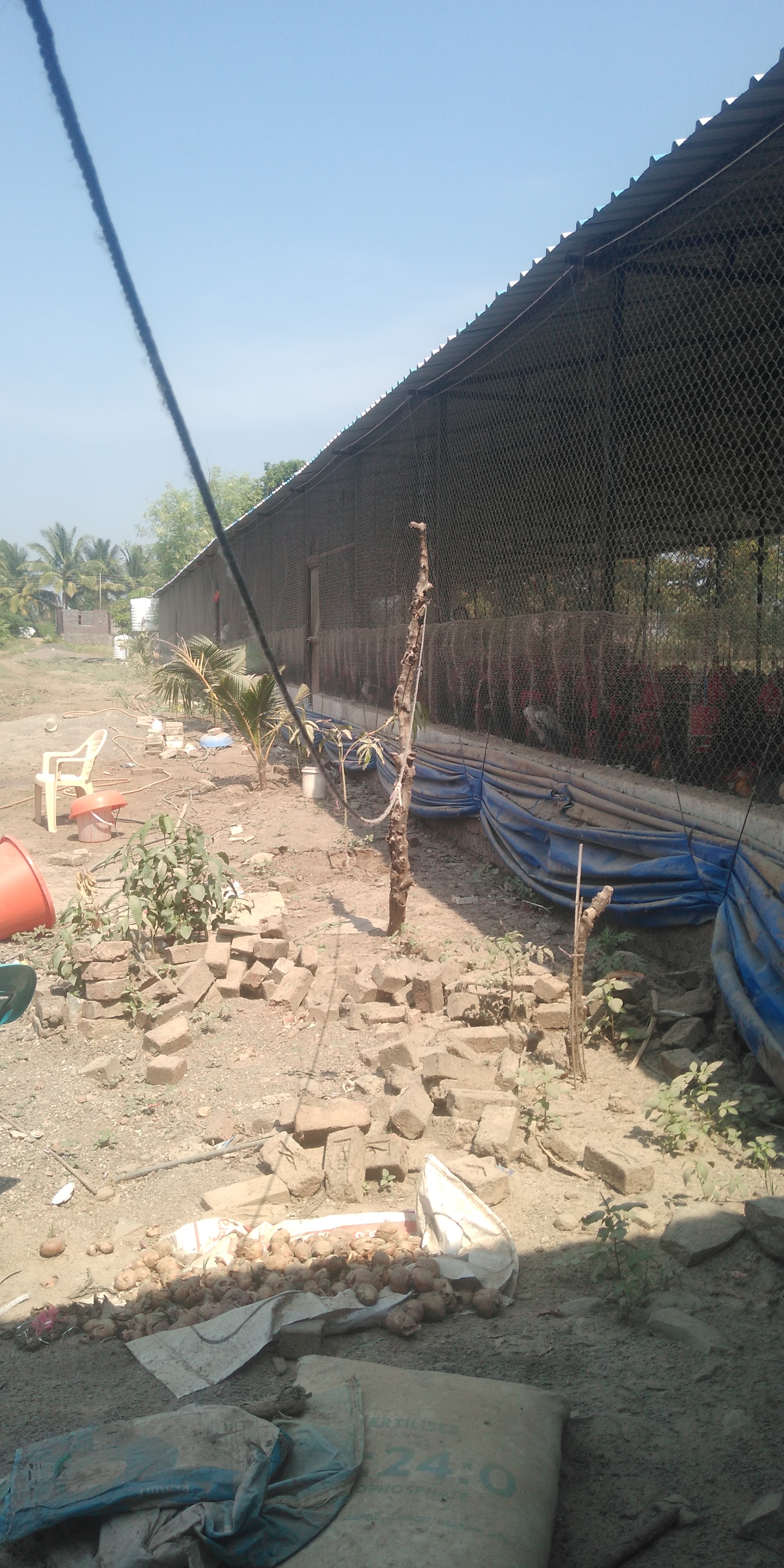 Shinde Poultry Farm