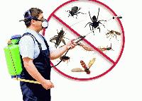 INSECT KILLER SERVICES