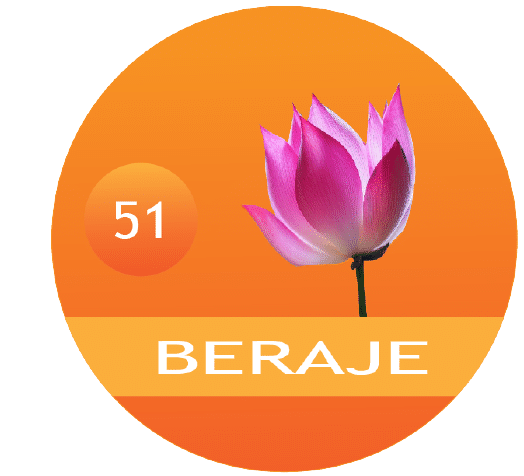 BERAJE MASALA PRIVATE LIMITED