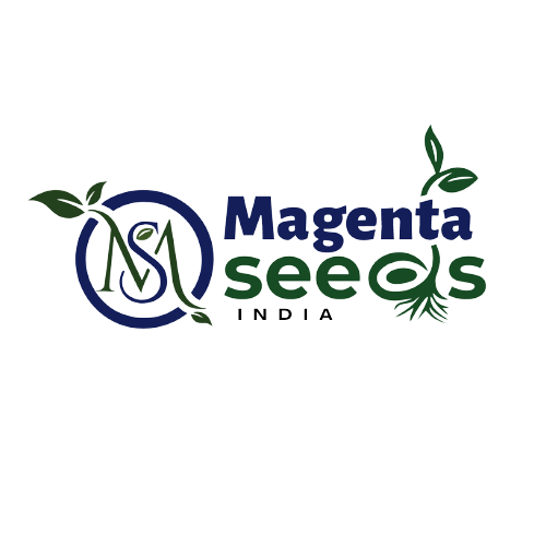 MAGENTA BIOTECH PRIVATE LIMITED