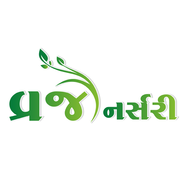 Vraj Nursery - Dhaduk Kishor