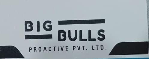 BIGBULLS PROACTIVE PRIVATE LIMITED