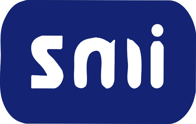 SREE MAHALAKSHIMI INDUSTRIES