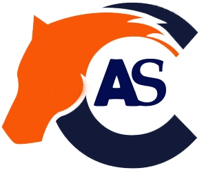 CAS -TAX CONSULTANCY