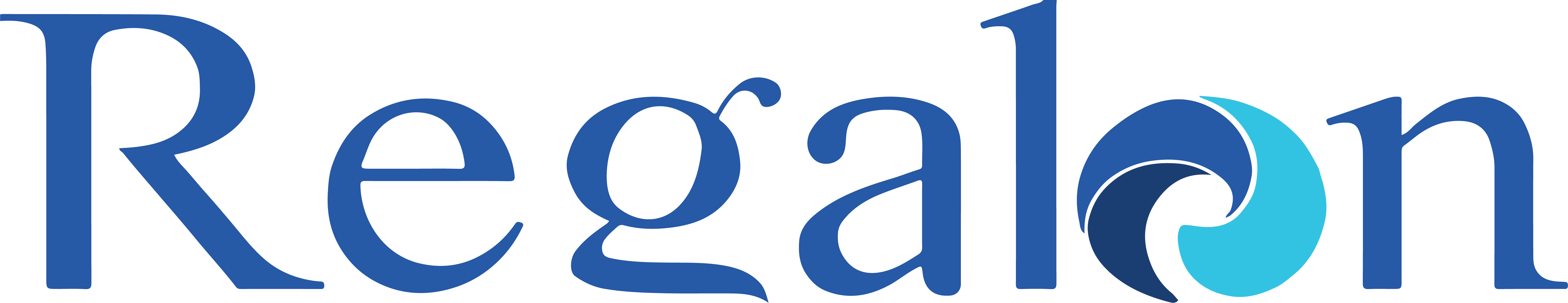 Regalon India Solution Private Limited
