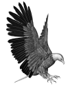 Padithya Industries