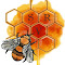 S R V Honey Processing Industry