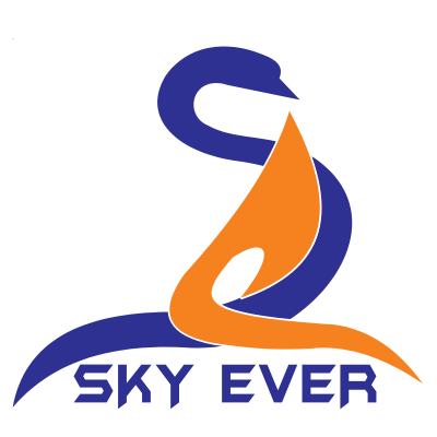 SKYEVER PHARMACEUTICALS PRIVATE LIMITED