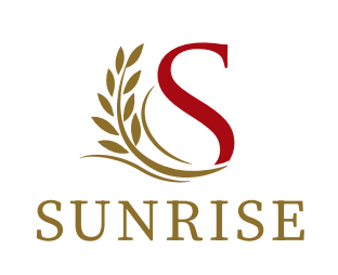 Sunrise Ins Company