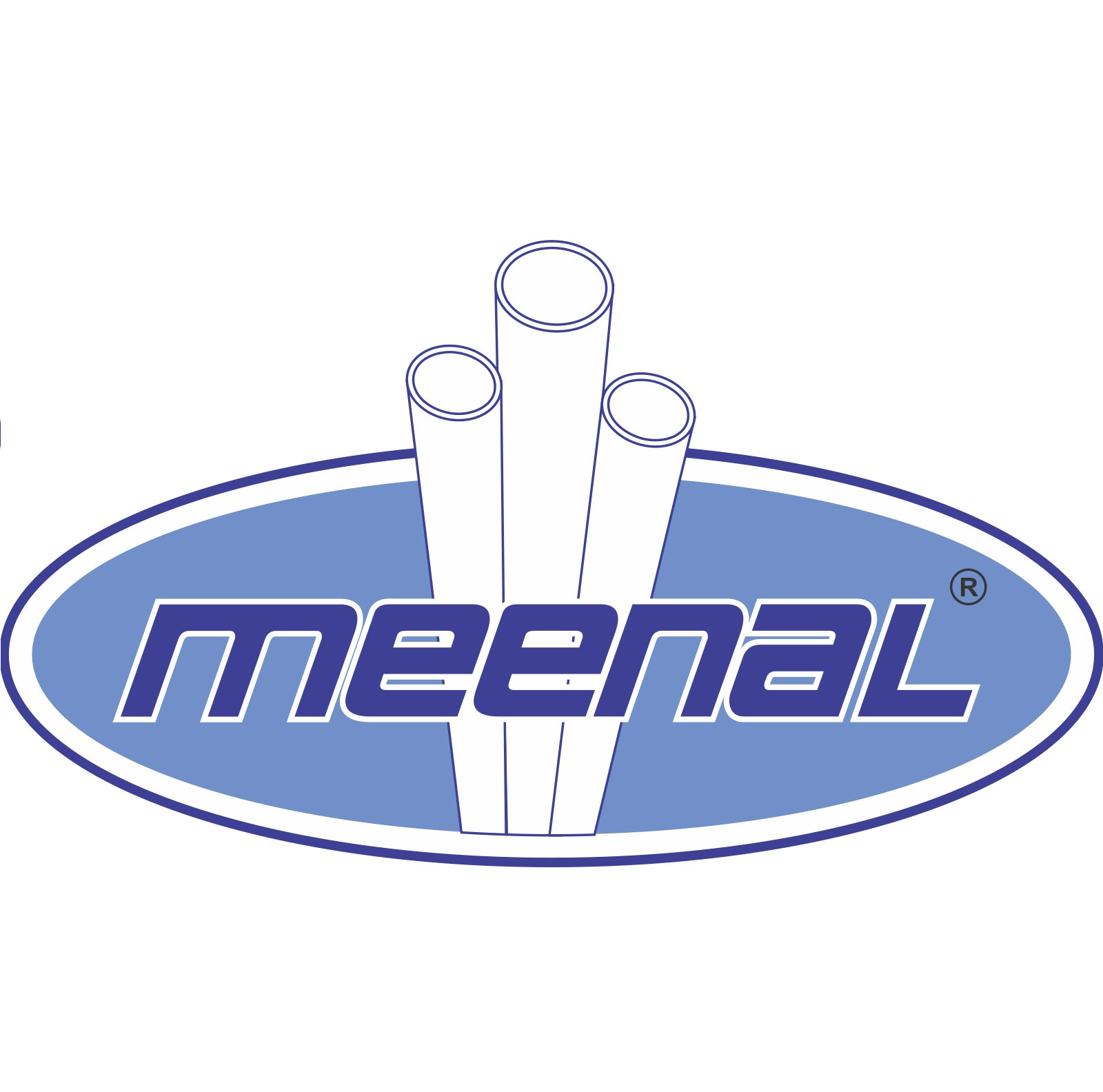 MEENAL ENTERPRISES