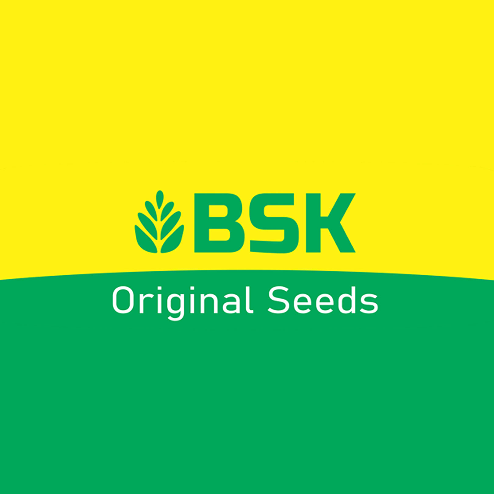 Best Seeds Karnal