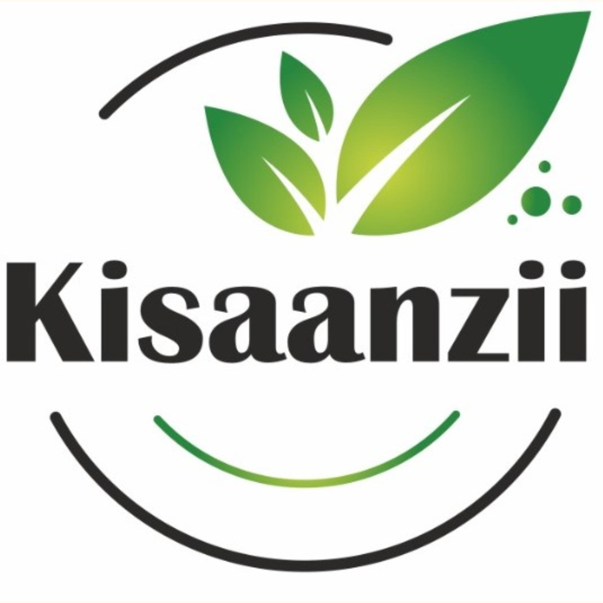 KISAANZII SOLUTIONS PRIVATE LIMITED