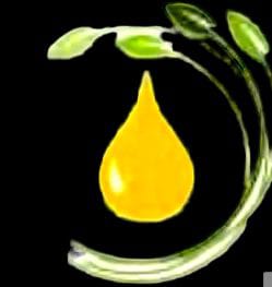 Siddhi Cold Press Oil