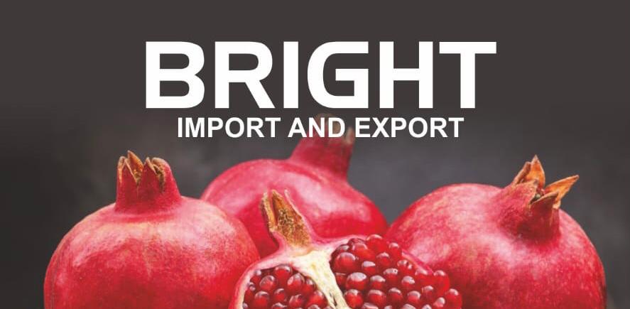 BRIGHT IMPORT AND EXPORT