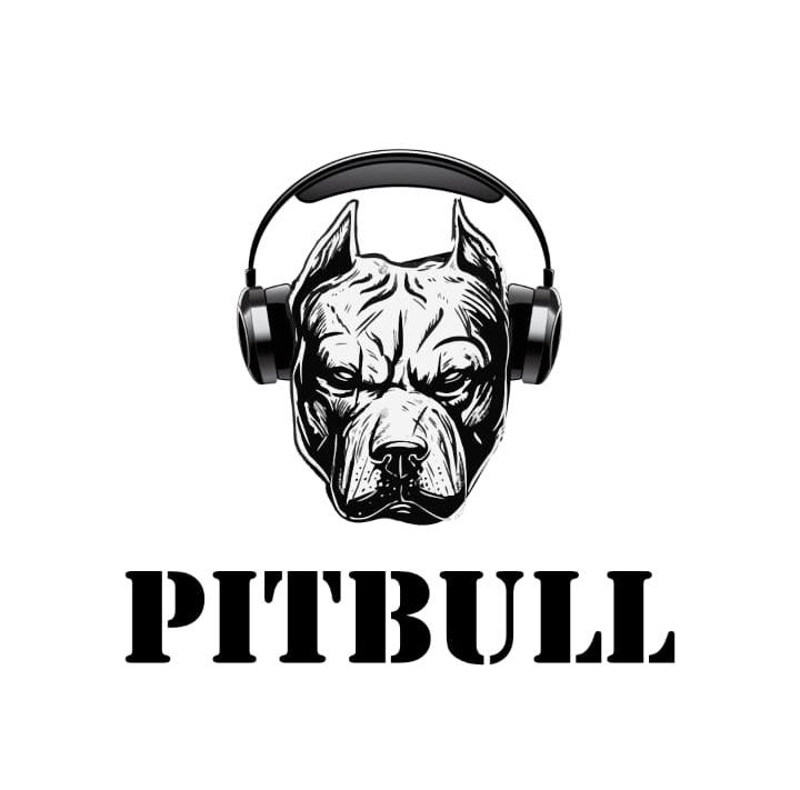 PITBULL AUDIO PRIVATE LIMITED
