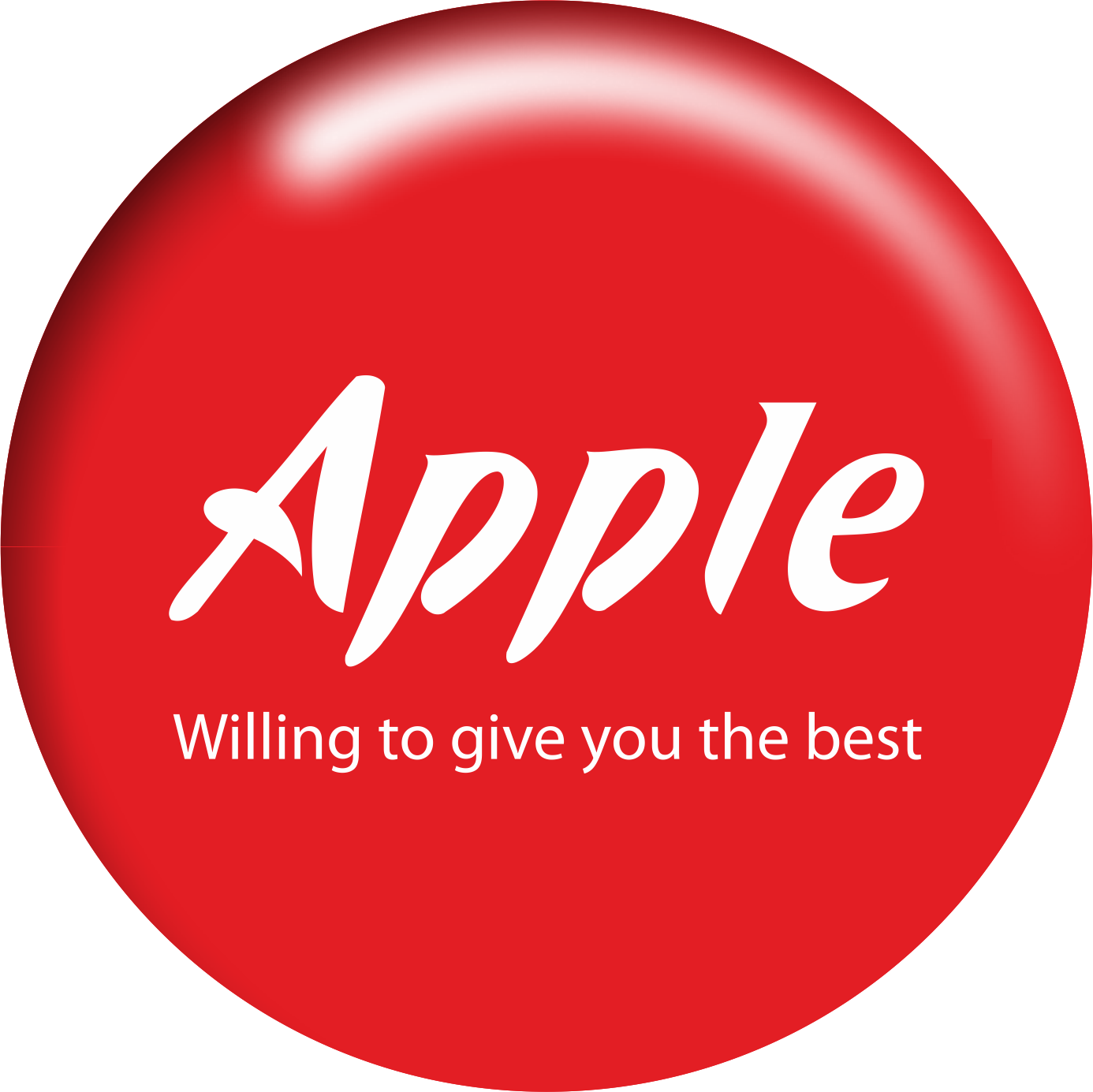 APPLE LIFESTYLE INDUSTRIES LIMITED